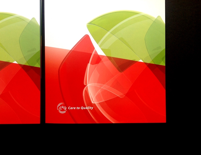 TAP M&E Campanha 2013