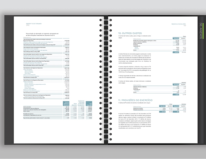 edp relatorio contas 2015