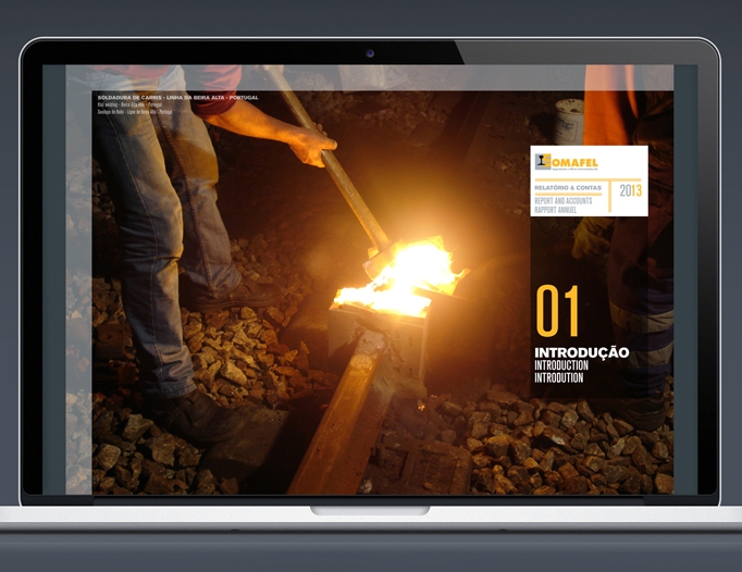 Somafel Annual Report 2013