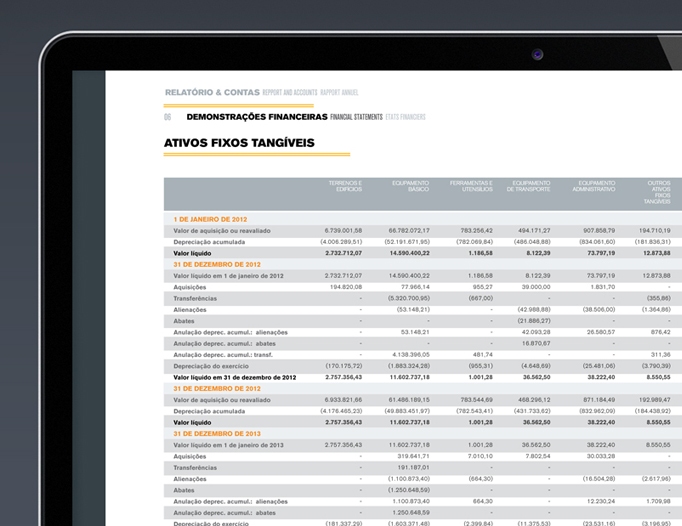 Somafel Annual Report 2013