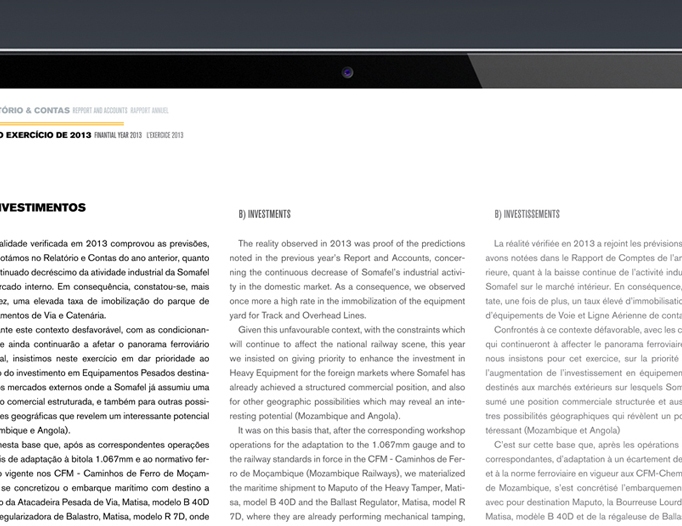 Somafel Annual Report 2013