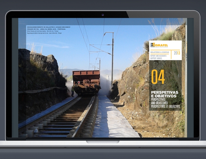 Somafel Annual Report 2013