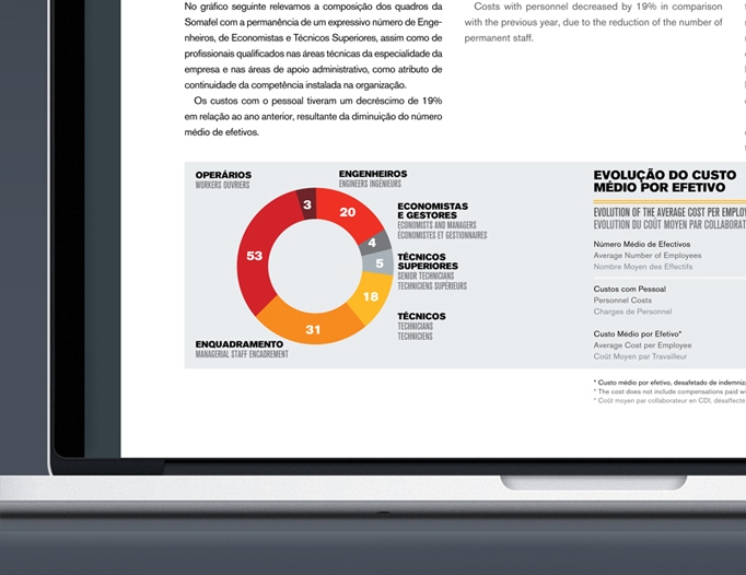 Somafel Annual Report 2013