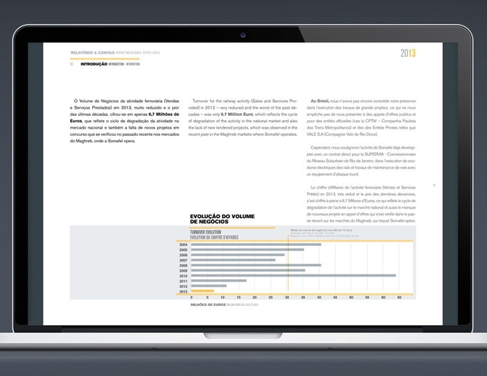 Somafel Annual Report 2013