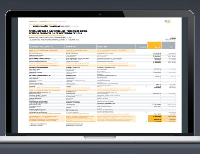 Somafel Annual Report 2013
