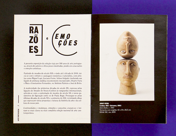 Raz&otilde;es e Emo&ccedil;&otilde;es